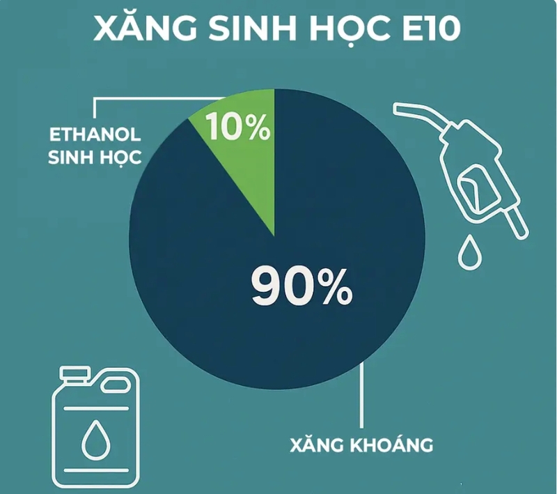 Ethanol sinh học là thành phần tạo nên điểm khác biệt giữa xăng E10 và xăng truyền thống. 