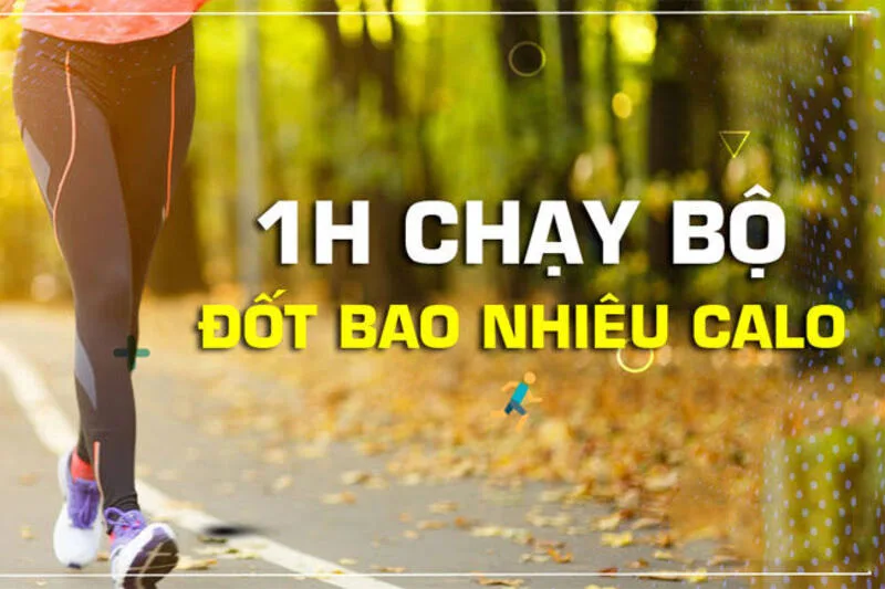 Người có cân nặng, tốc độ chạy và cường độ tập luyện khác nhau sẽ tiêu hao lượng calo khác nhau khi chạy bộ.
